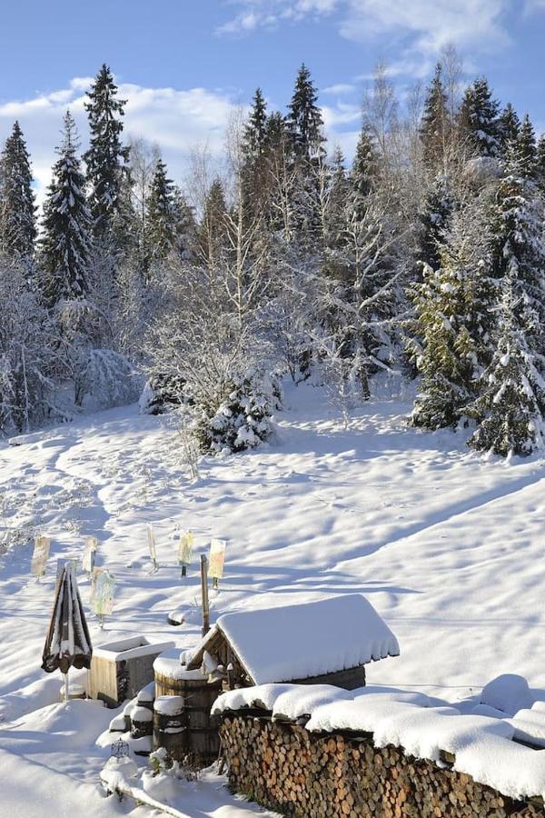 Mountain Chalet Smolenisko Domek W Gorach Nowy Targ Eksteriør bilde