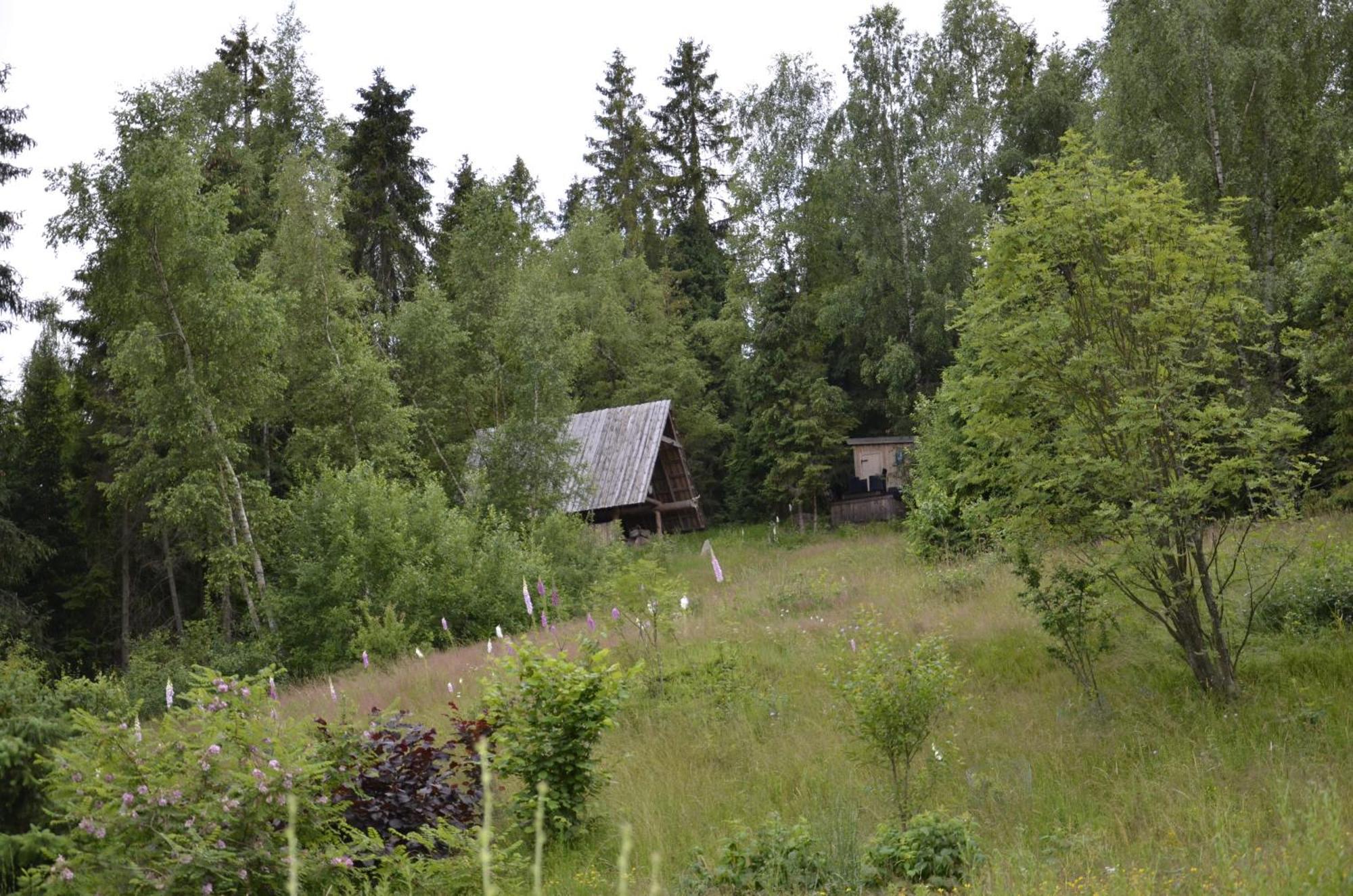 Mountain Chalet Smolenisko Domek W Gorach Nowy Targ Eksteriør bilde